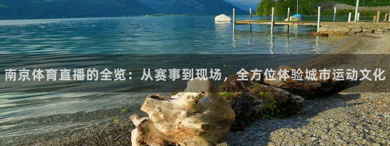 南京体育直播的全览：从赛事到现场，全方位体验城市运动文化
