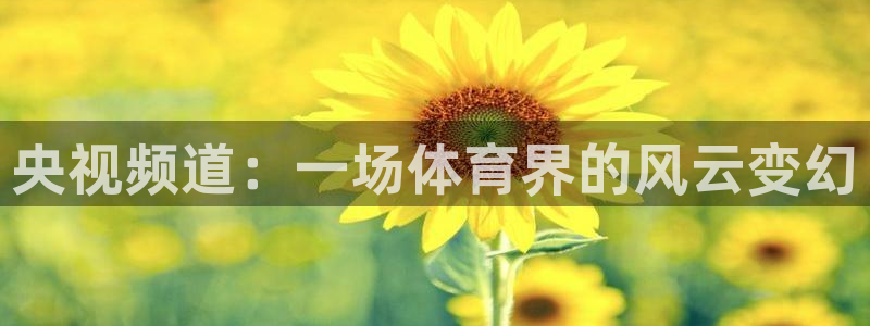 央视频道：一场体育界的风云变幻